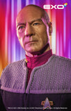 Star Trek: First Contact - Captain Jean-Luc Picard 1:6 Scale Articulated Collectible Figure